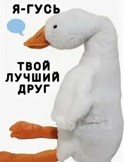 Картинка гусь обнимусь