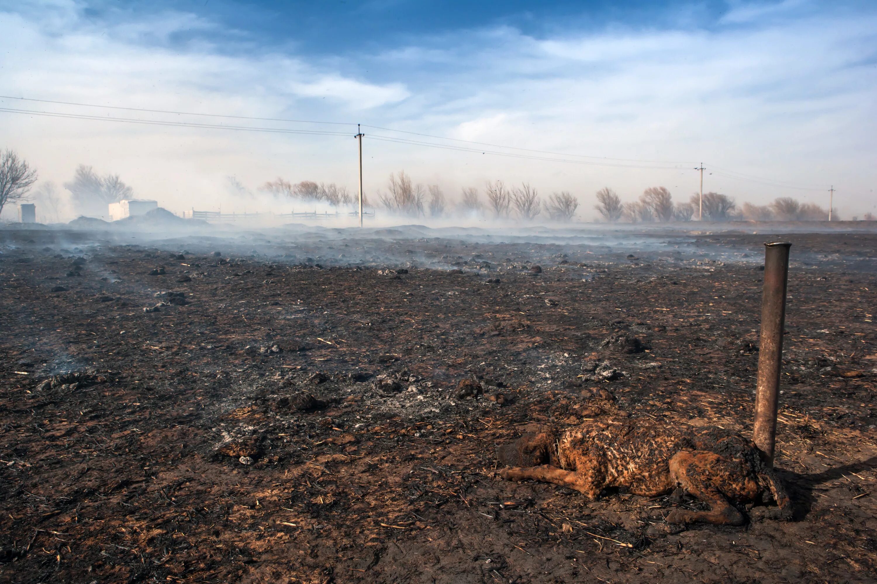 Сжигание полей. Поле после пожара. Сожженное поле. Земля после пожара. Выжженная земля после пожара.