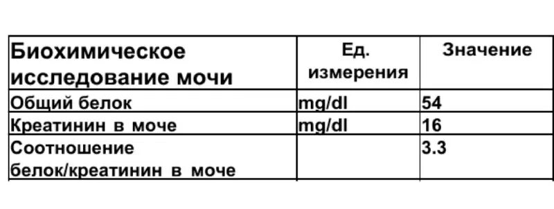 соотношение белок креатинин в моче у собаки. соотношение белок креатинин в моче у собаки. анализ мочи креатинин белок у кошки. соотношение белок креатинин в моче у собаки. шанс био.