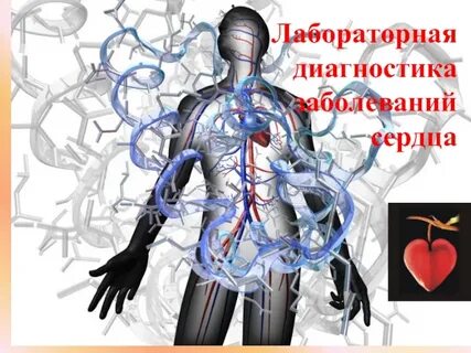 Диагностика сердца