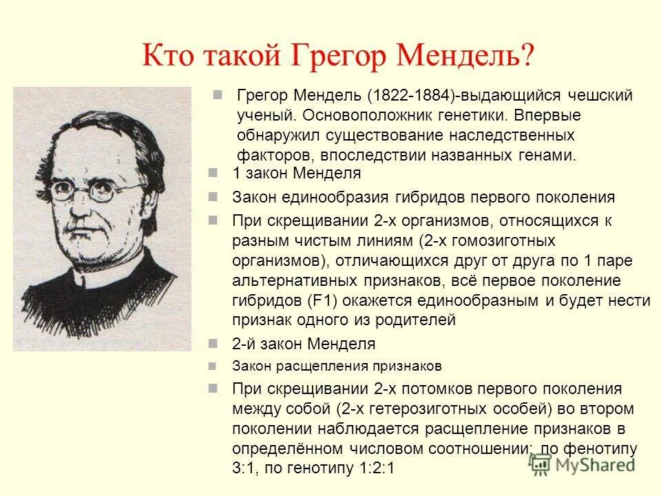 мендель впервые ввел термин ген. ). грегор мендель основоположник. презентация мендель биография. грегор мендель (1822 - 1884г.