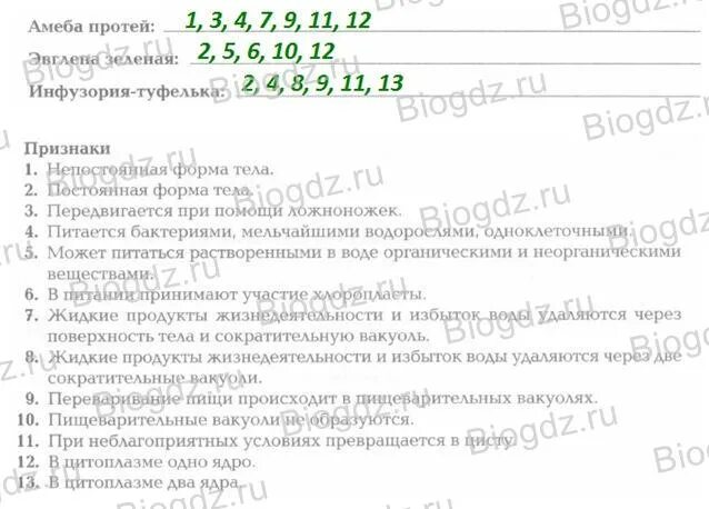 Выпишите номера характерных признаков животных. Выпишите номера признаков характерных для амёба. выпишите номера признаков характерных для данных животных. задание 2 биология выпишите номера характерных признаков животных. установите соответствие и выпишите номера признаков представителей.