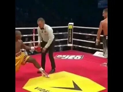 Бои гвоздика видео