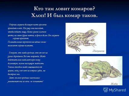 Сравни лягушку и жабу по внешнему виду
