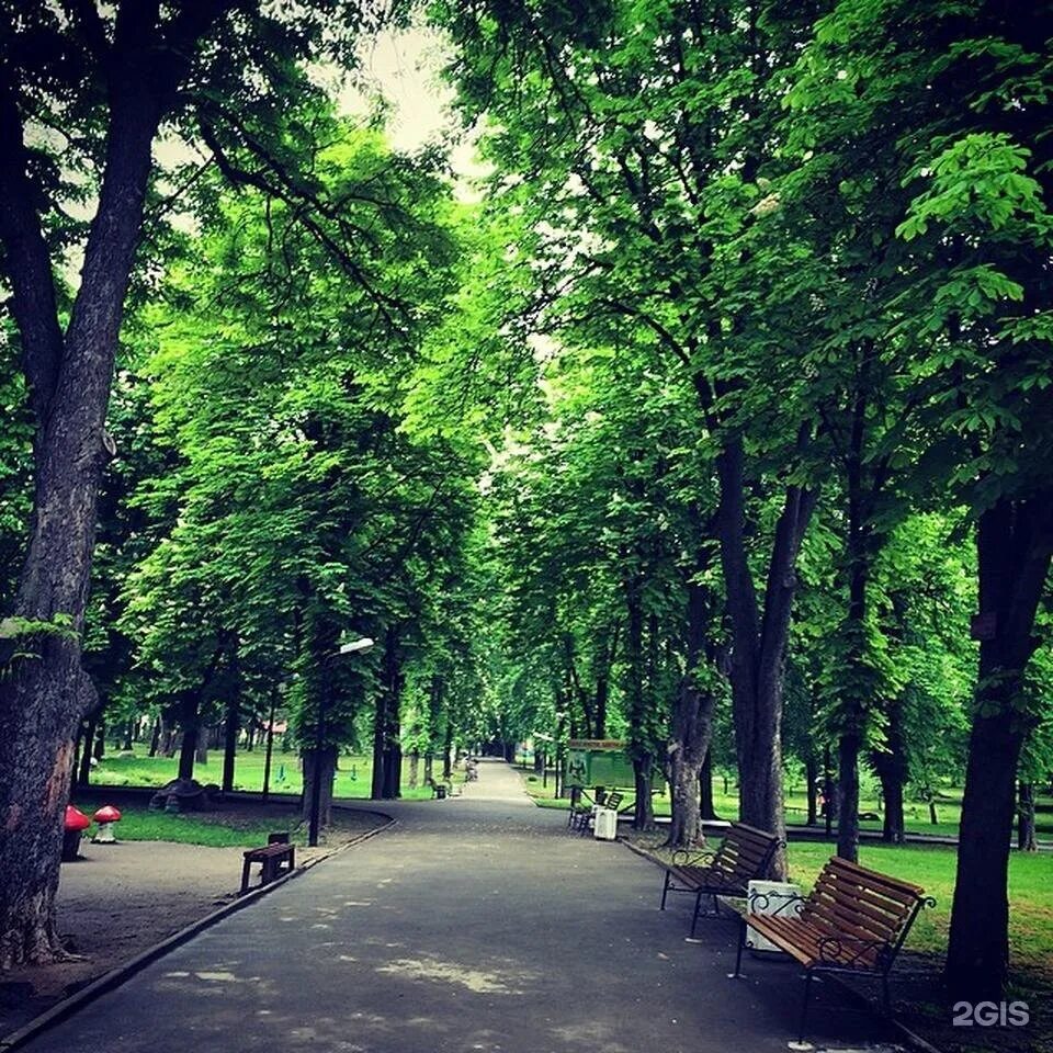 Парки в реальной жизни. Парк Ростов сквер. Парк культуры и отдыха им октября Ростов-на-Дону. Парк октября Ростов. Парк им. октября + Ростов.