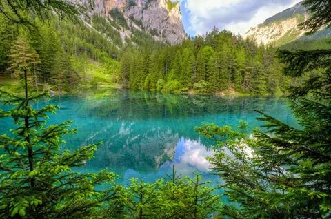 E nature