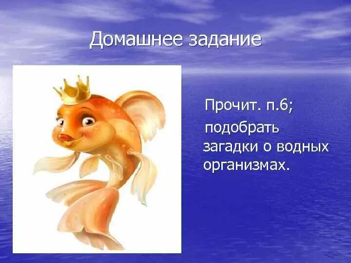 Загадка про воду 3 класс. Загадки о водных организмах. Загадка про воду. Загадка про воду. Загадка про воду.