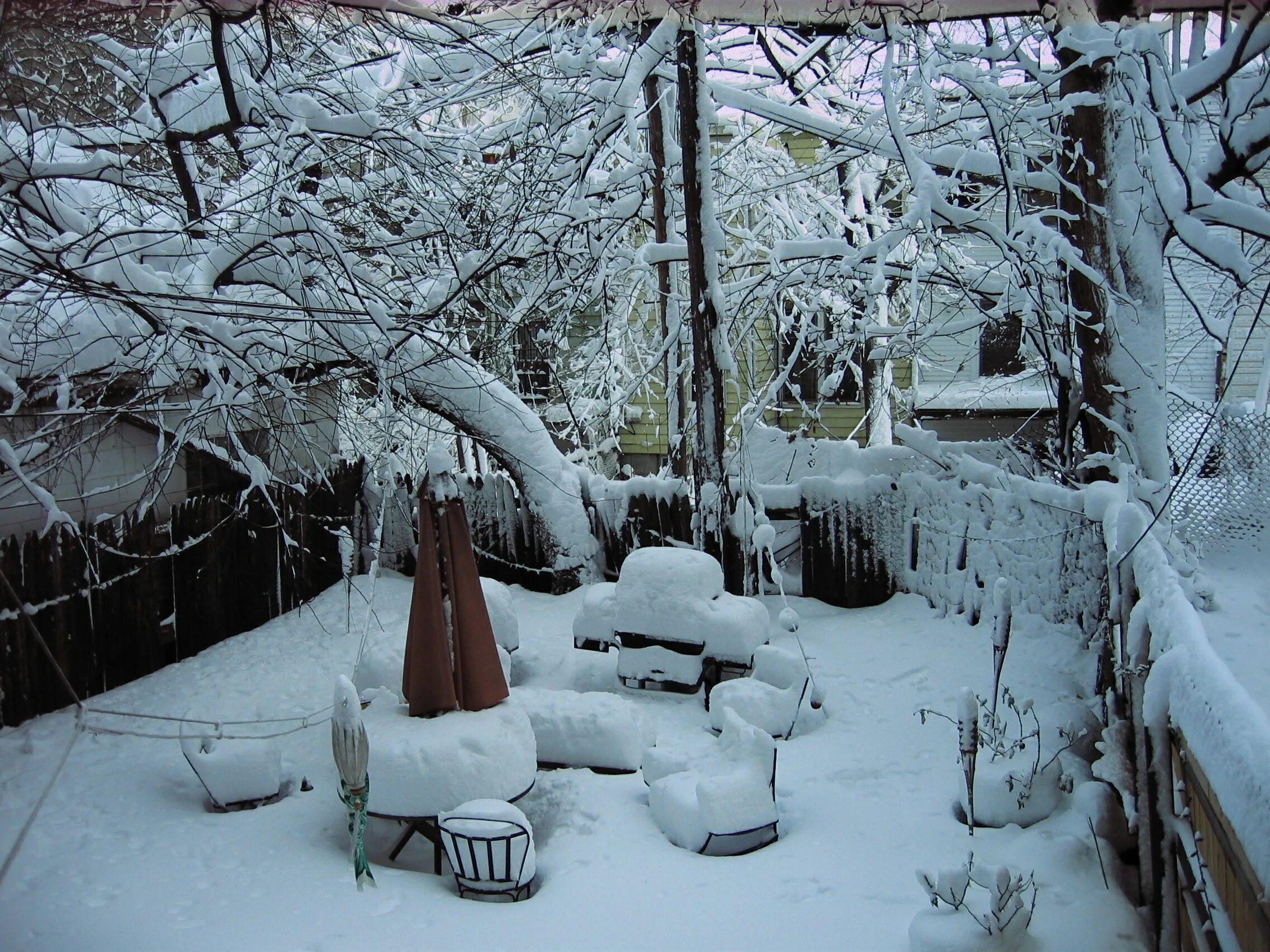 Сад зимой. Зима в саду. Укрытый сад зимой. Зимний сад зимой. Снегом укрыты дома