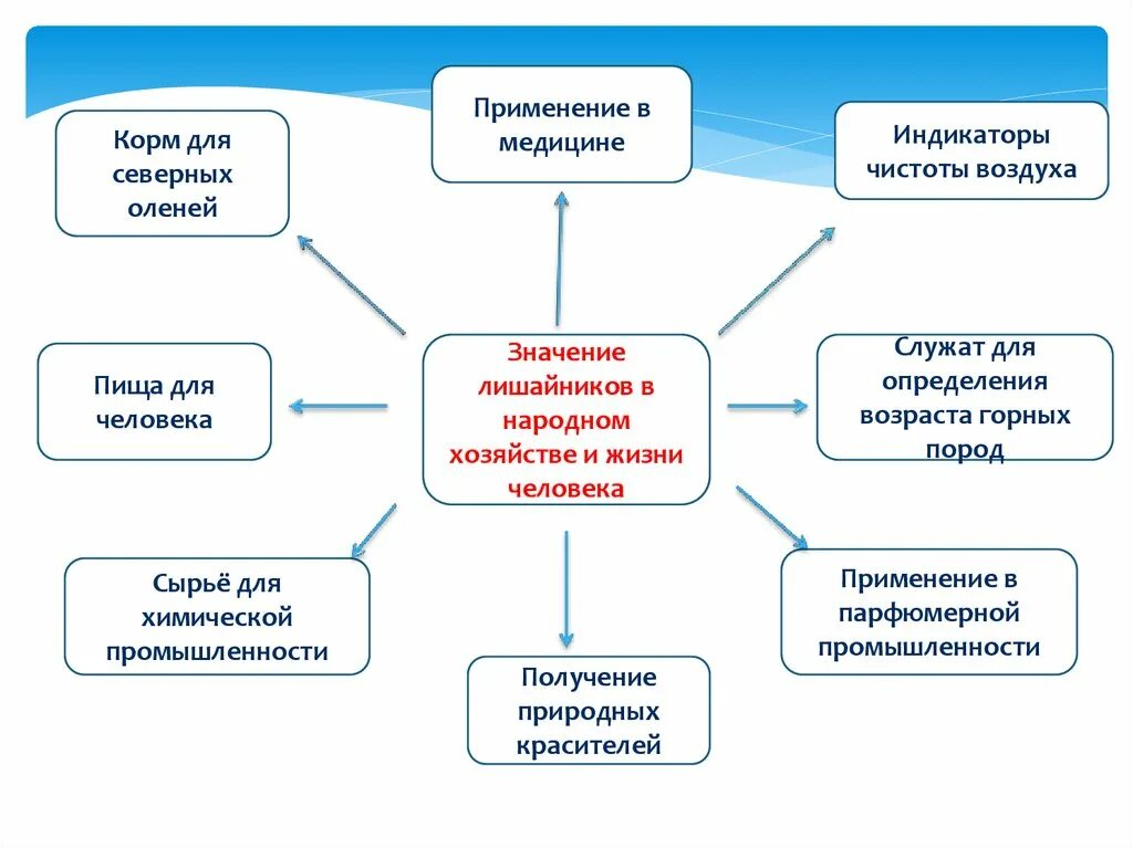 Какого их практическое значение. Роль лишайников в природе и жизни человека таблица. значение лишайников. роль лишайников в природе и жизни человека. значение лишайников таблица.