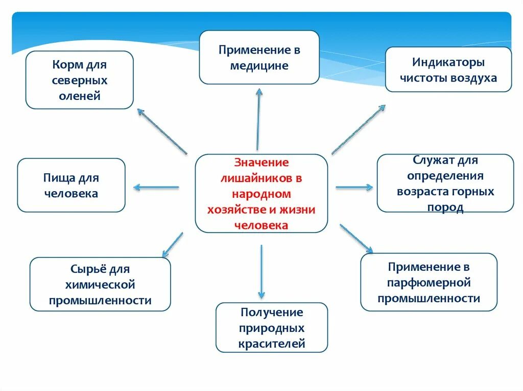 Роль лишайников в природе и жизни человека таблица. Схема значение лишайников. Роль лишайников в природе и жизни человека. Значение лишайников.