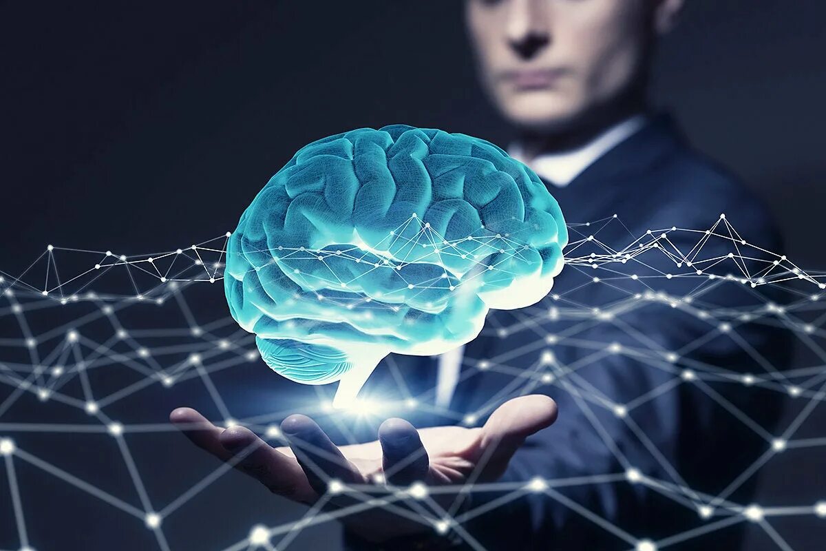 Learning network
