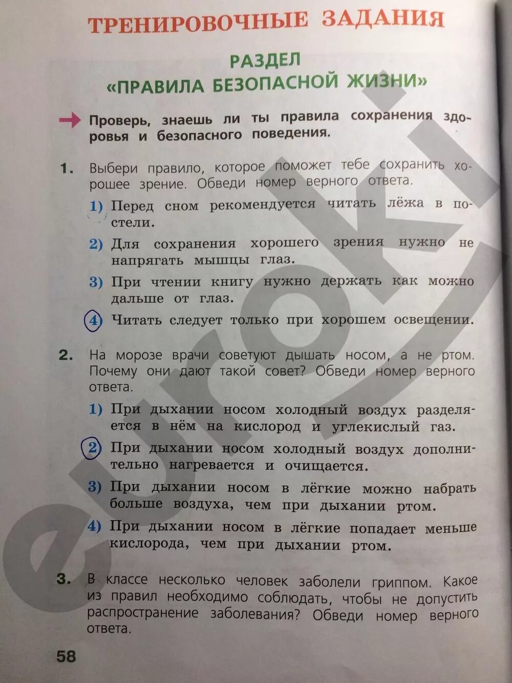Обведи номер верного ответа. Впр 4 класс. Обведи номер верного ответа. Обведи номер верного утверждения о слове чайки. Определи какому дереву принадлежат листья и плоды.