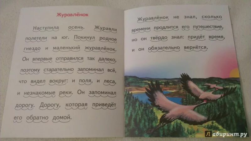 Журавленок содержание. Стих журавленок. журавленок стихотворение шаферан. журавленок текст. журавлёнок песня.