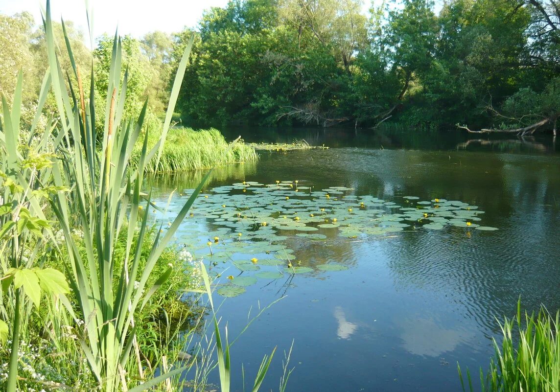 Эх река река