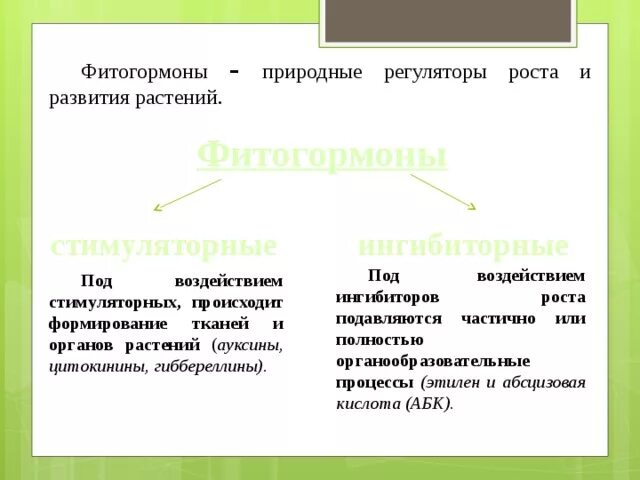 Фитогормоны таблица. Гормональные регуляторы роста растений. Фитогормоны это в биологии 6 класс. Гормоны растений фитогормоны. Влияние гормонов на растения.