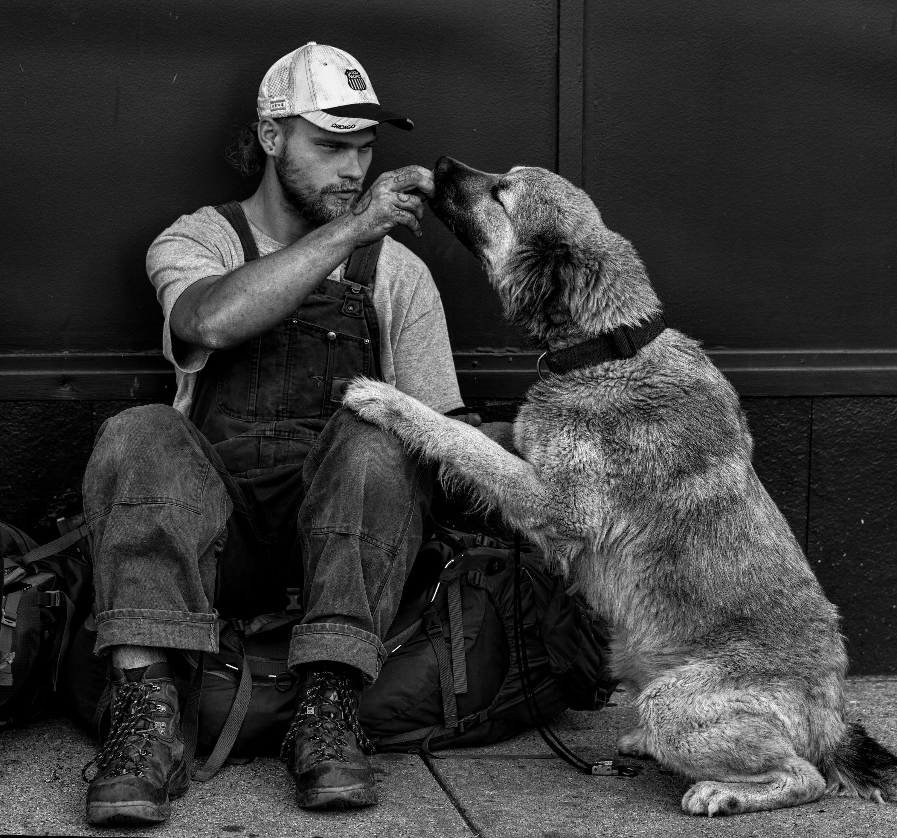 Собака и человек стали друзьями. Человек с собакой. Бездомные собаки. Хозяин собаки. Парень с собакой.