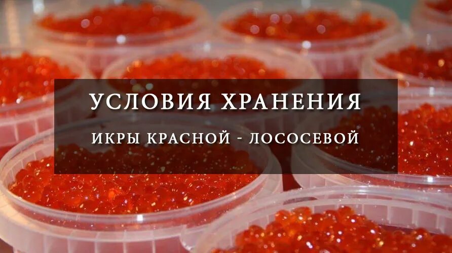 Можно ли хранить красную икру в холодильнике. Можно ли хранить красную икру в холодильнике
