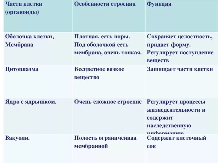 Составная часть клетки функции. Название органоида особенности строения функции таблица. Органоиды клетки строение и функции таблица. Клеточная мембрана строение и функции таблица. Строение и функции растительной клетки таблица.