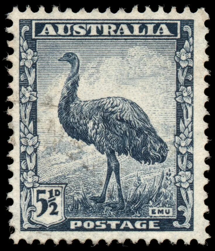 Old emu