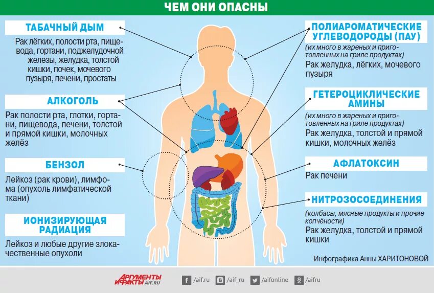 Причины развития онкологии. Влияние канцерогенов на организм человека. Факторы риска онкологии. Основные факторы развития онкологических заболеваний. Канцерогены вызывают рак