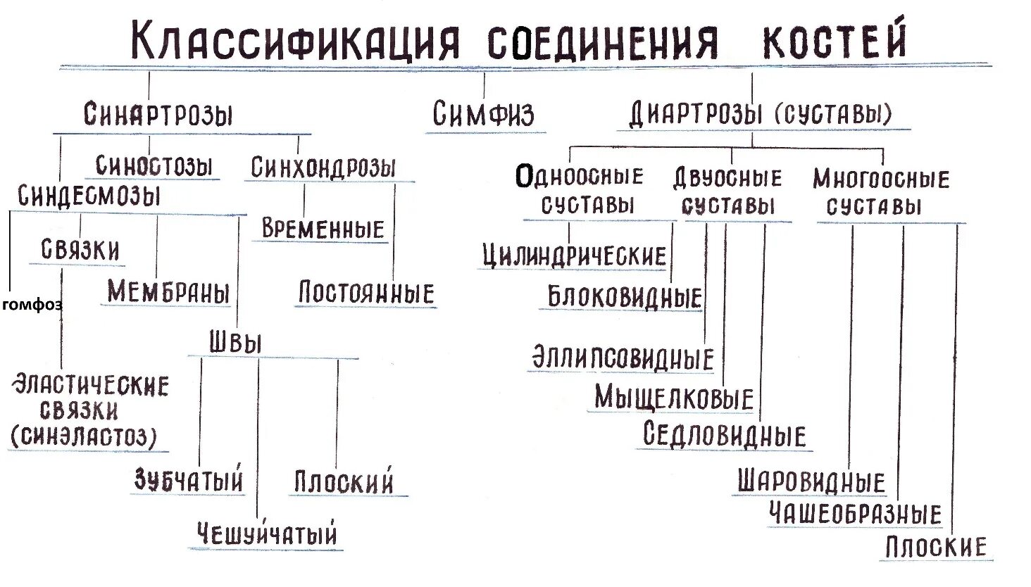 Таблица соединений кости. Классификация соединений костей анатомия. Классификация соединений костей схема. Классификация соединения костей таблица. Классификация непрерывных соединений костей.