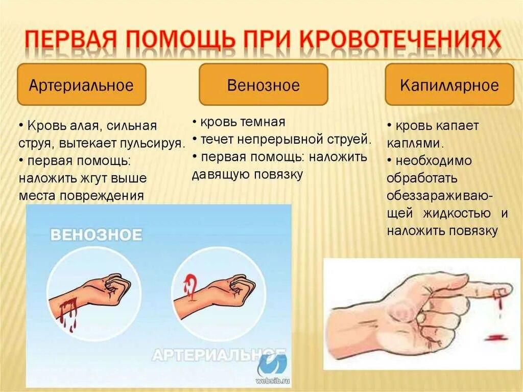 Первая медицинская помощь при открытом кровотечении