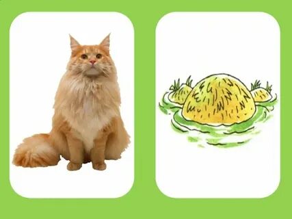 Звуки кочки