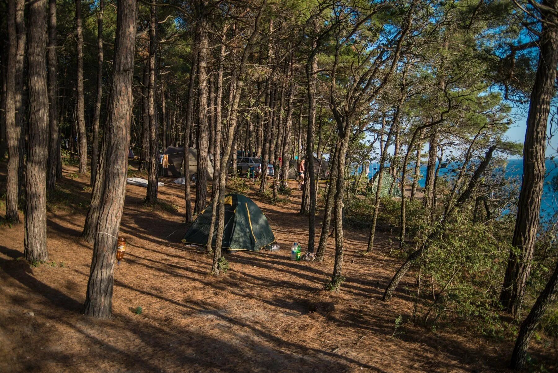 Кемпинг Сосновый Бор Дивноморское. Кемпинг Сосновая роща Дивноморское. Кемпинг голубая