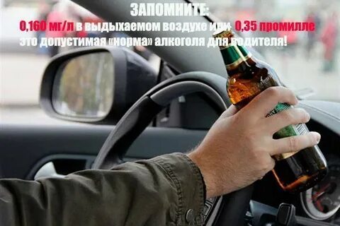 Алкогольный калькулятор для водителя воздухе водителей