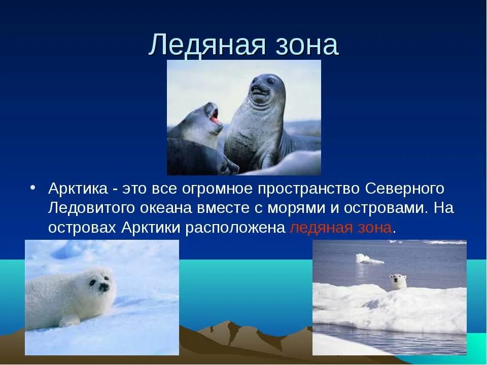 Зона арктических пустынь расположена на островах арктики. Арктические пустыни рельеф. Арктика это огромное пространство 4 класс. Зона арктических пустынь расположена на островах. Зона арктических пустынь расположена.