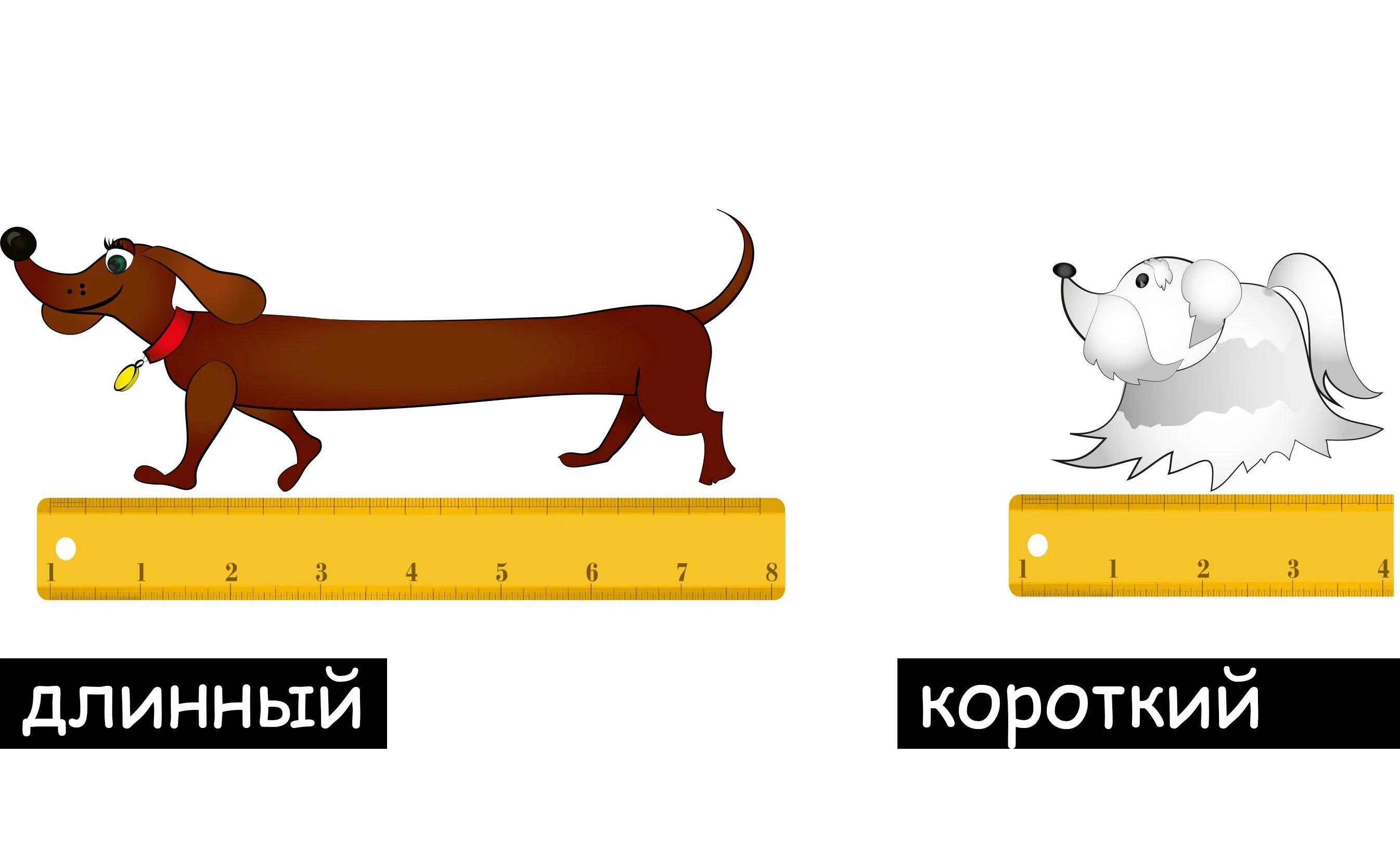 Удлинить картинку. Короткий - длинный. Длинный. Понятия длинный короткий. Длинный короткий для дошкольников.