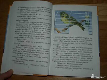 Рассказ толстого птичка