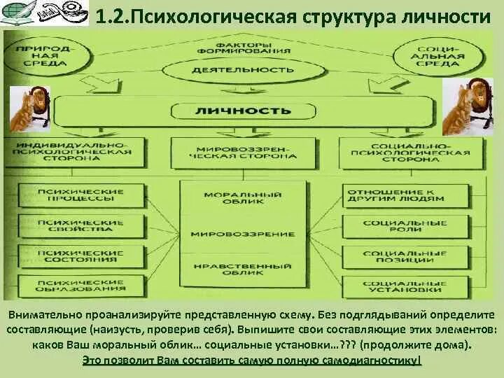 Психологическая структура физической. Схема психологическое строение деятельности. Структура психики по платонову. Виды подготовки в спорте. Качества составляющие структуру личности в психологии.