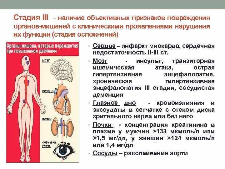 Карта вызова артериальная. Повреждение органов мишеней. Поражение органов мишеней при ХСН. Нарушением функции "органов-мишеней". Андрогены органы мишени.