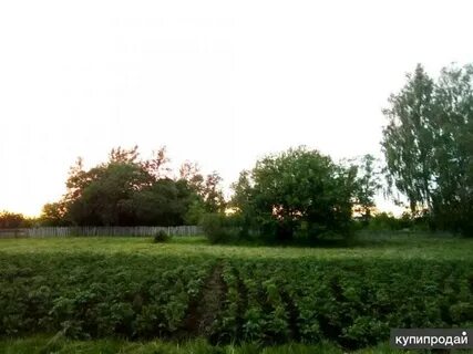 Участки в мишкино