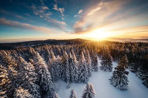 Winter gallery