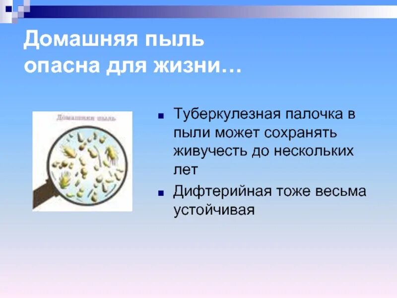 Пыли число. Компоненты домашней пыли. состав домашней пыли. домашняя пыль. чем опасна пыль.