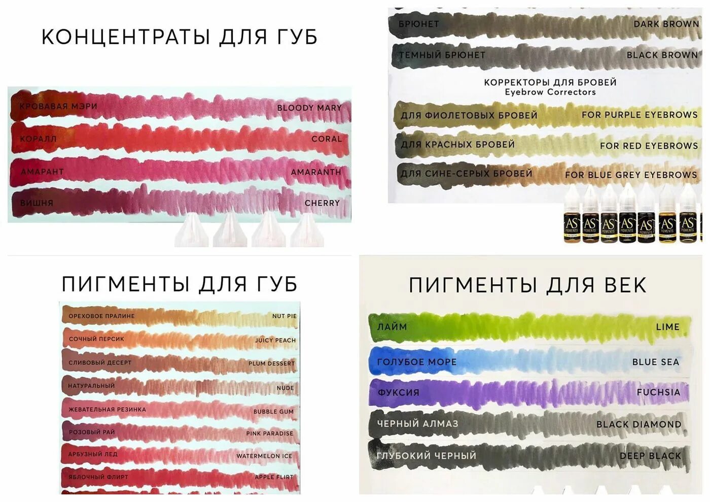 Пигмент латынь. Пигменты алины шаховой. палитра алины шаховой. пигменты алины шаховой палитра. пигменты алины шаховой палитра для губ.