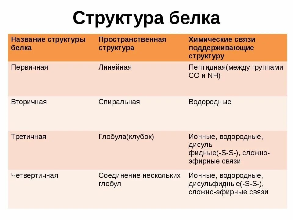 Белки относятся к уровню