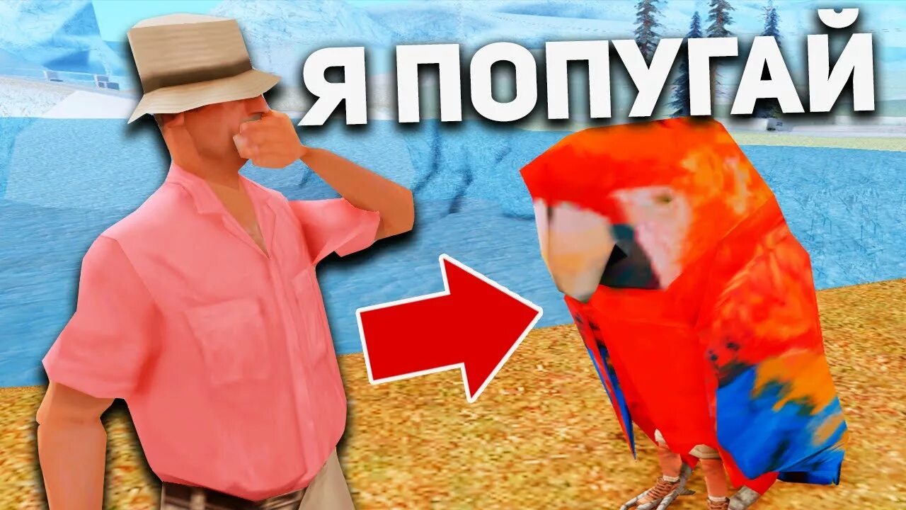 Костюм попугая в сампе. Скин попугая аризона рп. Попугай аризона рп. Попугай самп. Попугай аризона рп.