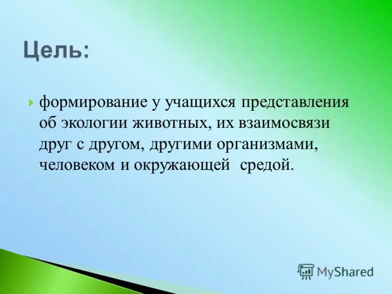 экологическое представление это