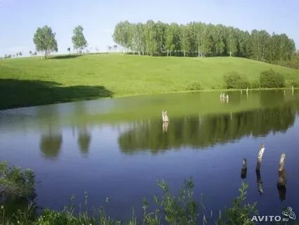 Село гусиный брод новосибирская