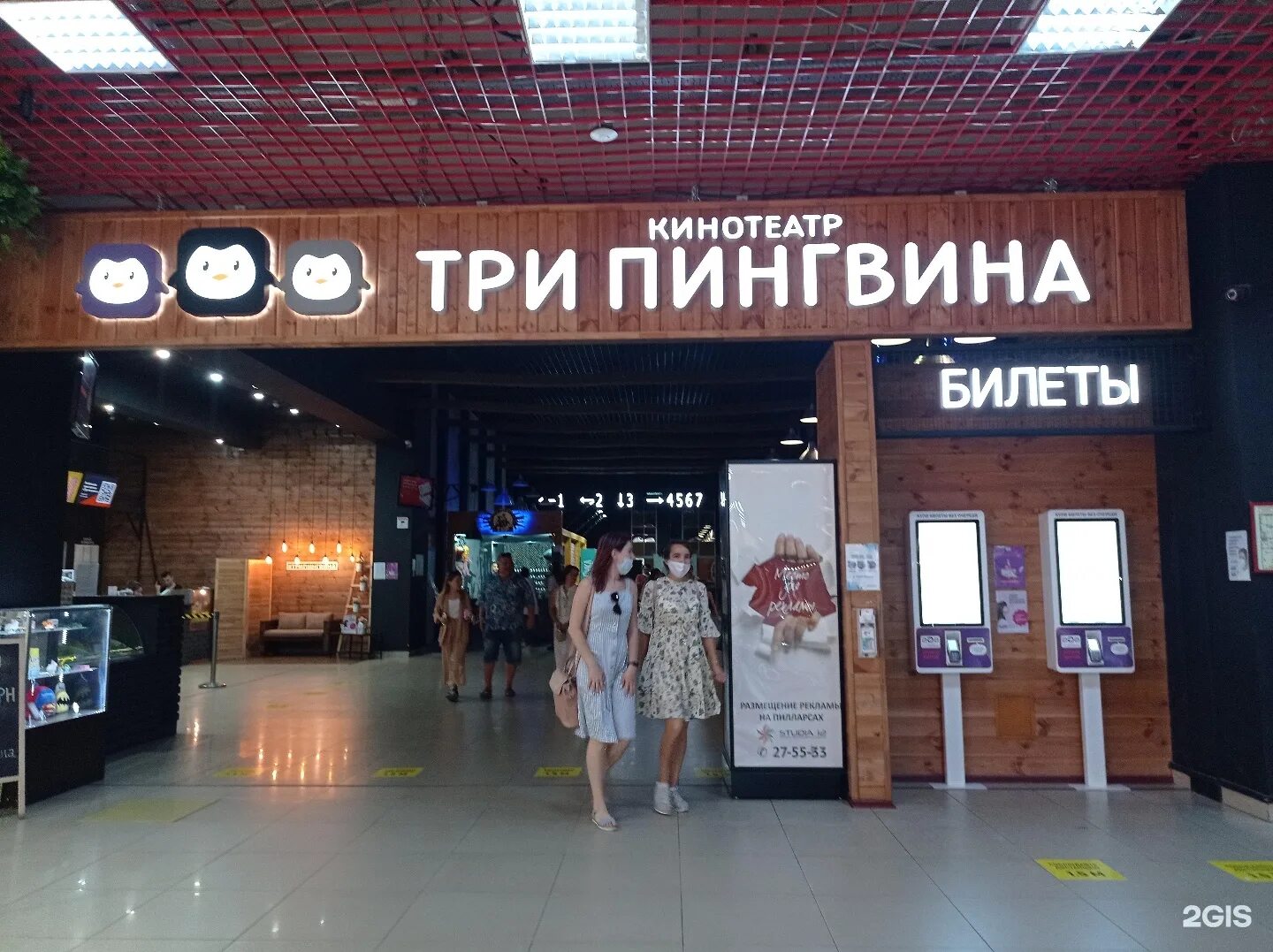 Три пингвина чебоксары фнаф. Три пингвина чебоксары фнаф. Тц мадагаскар чебоксары 3 пингвина. Три пингвина чебоксары фнаф. Три пингвина чебоксары фнаф.