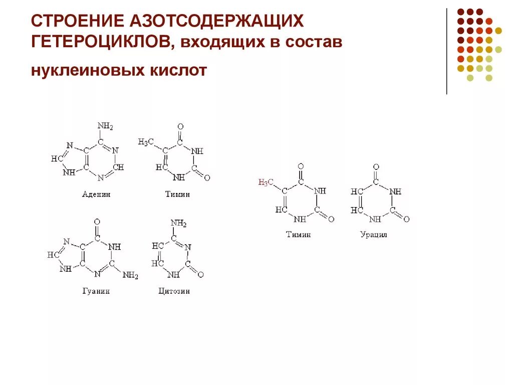 Азотсодержащие гетероциклические соединения. Азотсодержащие гетероциклические вещества. Азотсодержащее гетероциклическое соединение формула. Азотсодержащие гетероциклические соединения: строение. Азотистые гетероциклы строение.