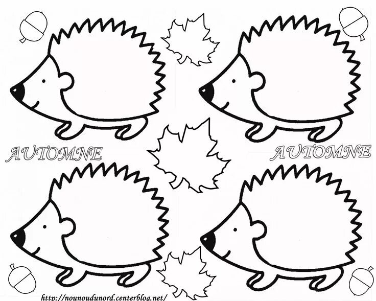How to Draw a Hedgehog Face - DIY Art Tutorial