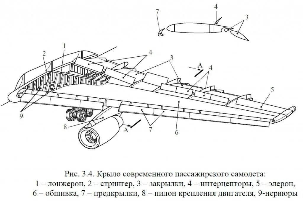 Где находится крыло