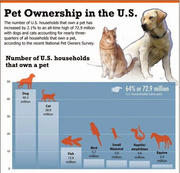 Переводчик pet. Reasons for having Pets схема. Stat Pets. Owning a Pet. Number of Cats and Dogs in households by Country.