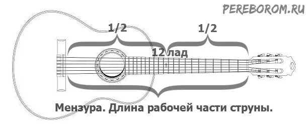 Длина гитарной струны