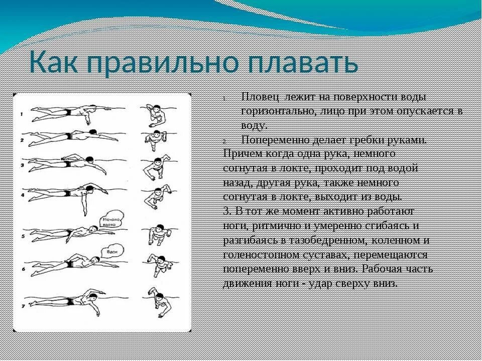 Обучение техники плавания кролем. Техника плавания кролем. Техника плавания кролем для начинающих. Кроль техника плавания упражнения. Как правильно плавать кролем.