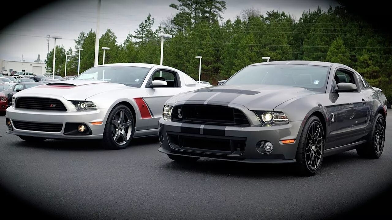 Ford Mustang Shelby gt500 v, 2008. Shelby gt500 vs Ford Mustang. Ford Mustang Shelby gt350 vs 500. Ford Mustang gt 1996. Форд против мустанга